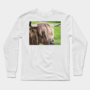 Scottish highland cow Long Sleeve T-Shirt